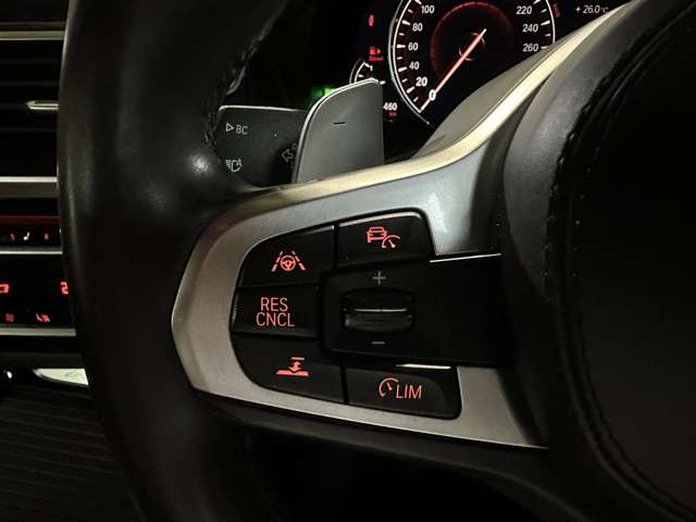 ＢＭＷ Ｘ３ Ｘドライブ２０Ｄ Ｍスポーツ ディーゼルターボ ４ＷＤ H30年 (関東) 99