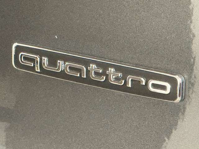 アウディ Ｑ５ ４０ ＴＤＩ クワトロ Ｓライン ディーゼルターボ ４ＷＤ R6年 (関東) 99