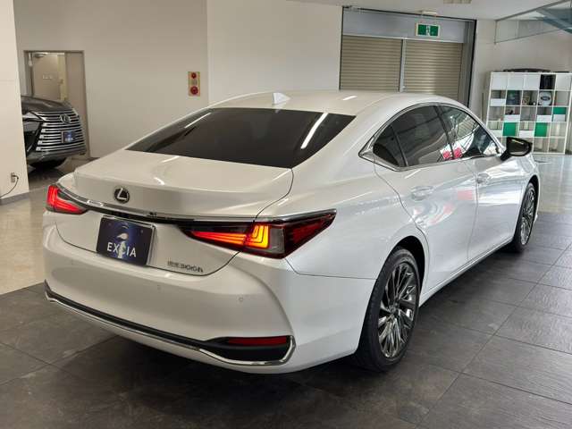 レクサス ＥＳ３００ｈ グレイスフル　エスコート R5年 (関東) 99