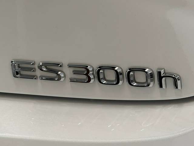 レクサス ＥＳ３００ｈ グレイスフル　エスコート R5年 (関東) 99