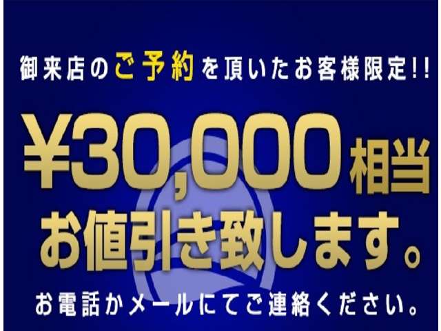 メルセデスベンツ Ｇクラス Ｇ３５０ ブルーテック エディション ゼブラ ディーゼルターボ ４ＷＤ H27年 (関東) 99