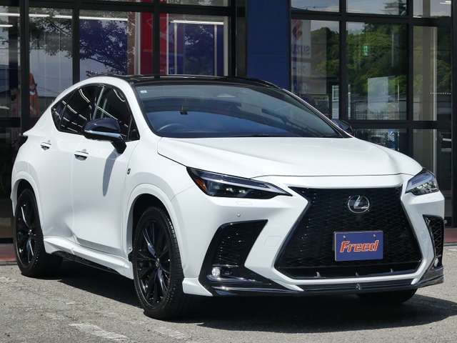 レクサス ＮＸ３５０ｈ Ｆスポーツ R5年 (東海) 99