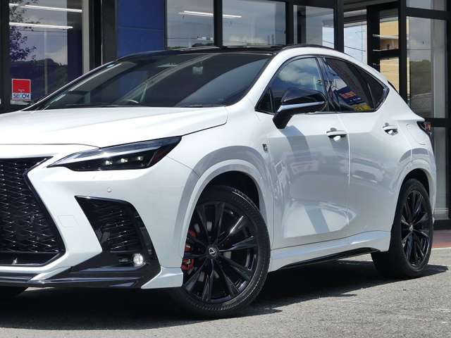 レクサス ＮＸ３５０ｈ Ｆスポーツ R5年 (東海) 99