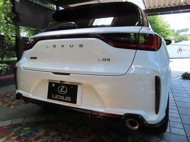 レクサス ＬＢＸ モリゾウ ＲＲ ４ＷＤ R8年 (関東) 99