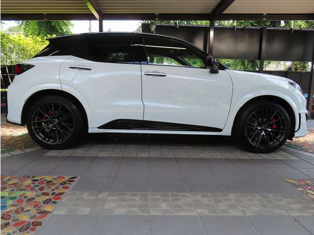 レクサス ＬＢＸ モリゾウ ＲＲ ４ＷＤ R8年 (関東) 99