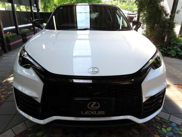 レクサス ＬＢＸ モリゾウ ＲＲ ４ＷＤ R8年 (関東) 99