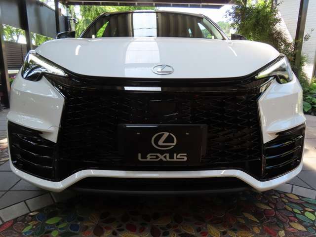レクサス ＬＢＸ モリゾウ ＲＲ ４ＷＤ R8年 (関東) 99