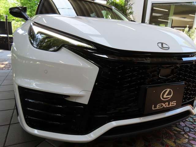 レクサス ＬＢＸ モリゾウ ＲＲ ４ＷＤ R8年 (関東) 99