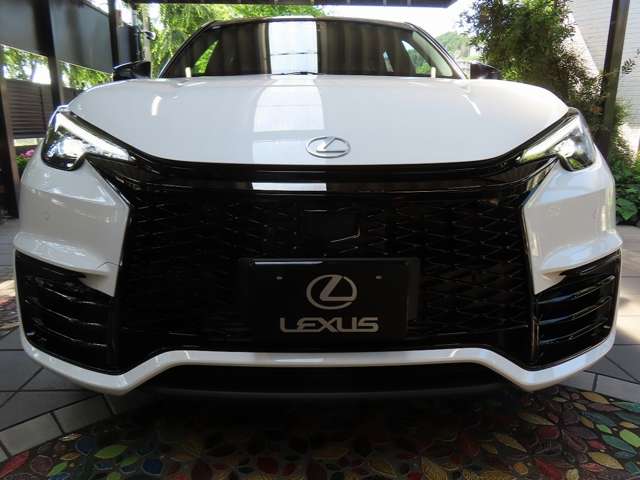 レクサス ＬＢＸ モリゾウ ＲＲ ４ＷＤ R8年 (関東) 99