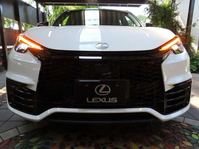 レクサス ＬＢＸ モリゾウ ＲＲ ４ＷＤ R8年 (関東) 99