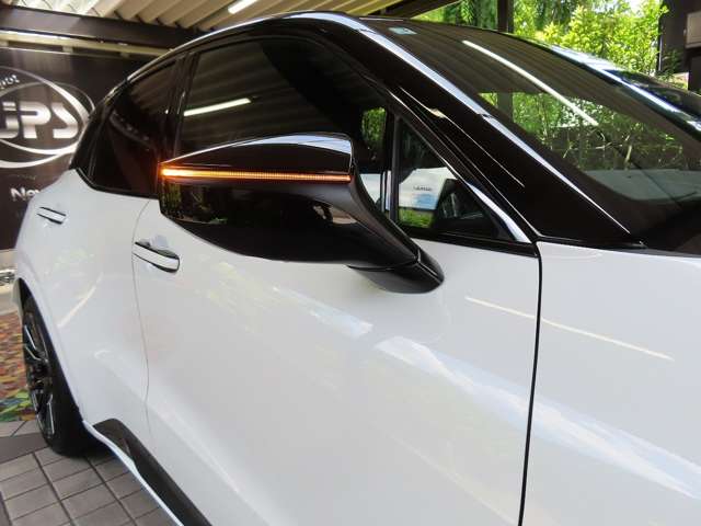 レクサス ＬＢＸ モリゾウ ＲＲ ４ＷＤ R8年 (関東) 99