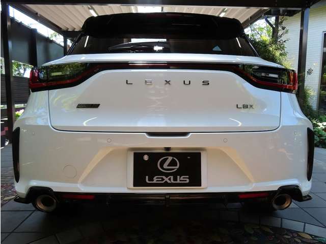 レクサス ＬＢＸ モリゾウ ＲＲ ４ＷＤ R8年 (関東) 99