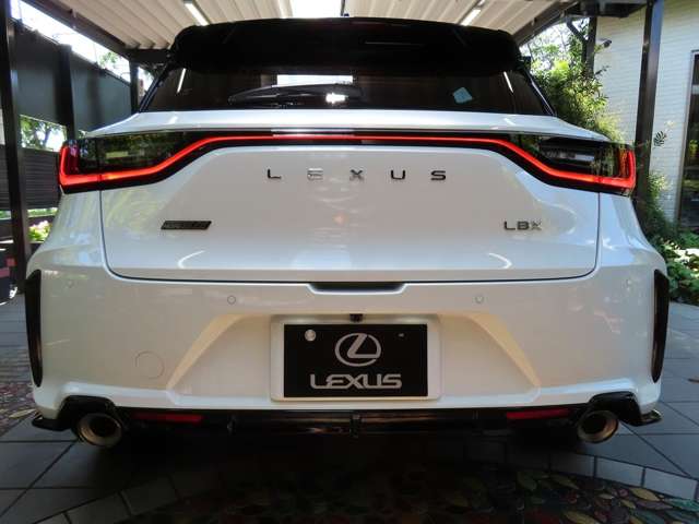 レクサス ＬＢＸ モリゾウ ＲＲ ４ＷＤ R8年 (関東) 99