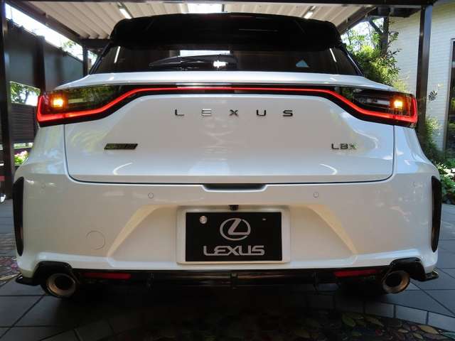 レクサス ＬＢＸ モリゾウ ＲＲ ４ＷＤ R8年 (関東) 99