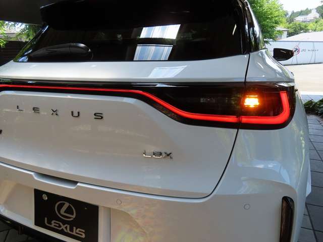 レクサス ＬＢＸ モリゾウ ＲＲ ４ＷＤ R8年 (関東) 99