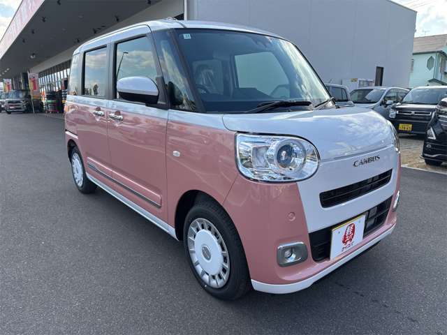 ダイハツ ムーヴ　キャンバス ６６０ ストライプス Ｇ R7年 (九州・沖縄) 99