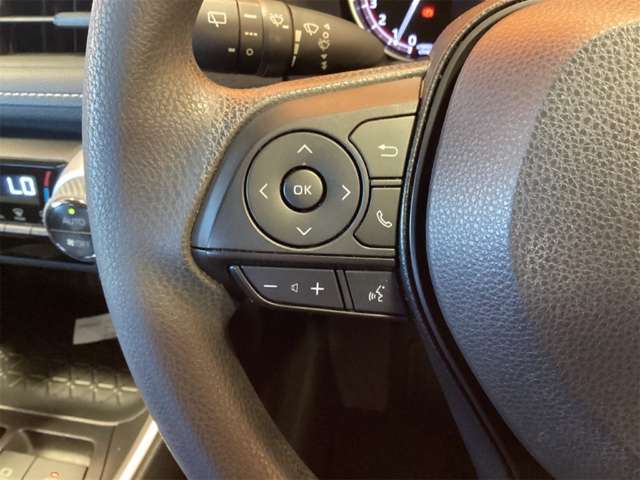 トヨタ ＲＡＶ４ ２．０ Ｘ R5年 (近畿) 99