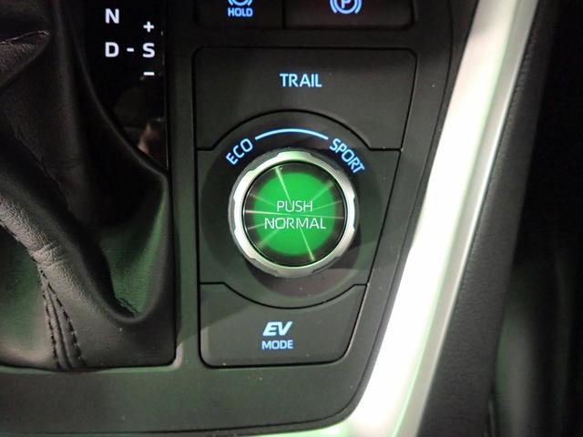 トヨタ ＲＡＶ４ ２．５ ハイブリッド Ｇ Ｅ－ＦＯＵＲ ４ＷＤ R1年 (近畿) 99