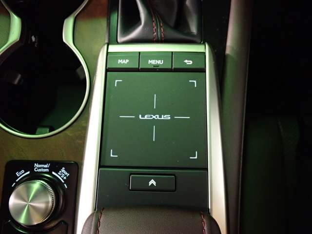 レクサス ＲＸ３００ バージョンＬ R2年 (近畿) 99