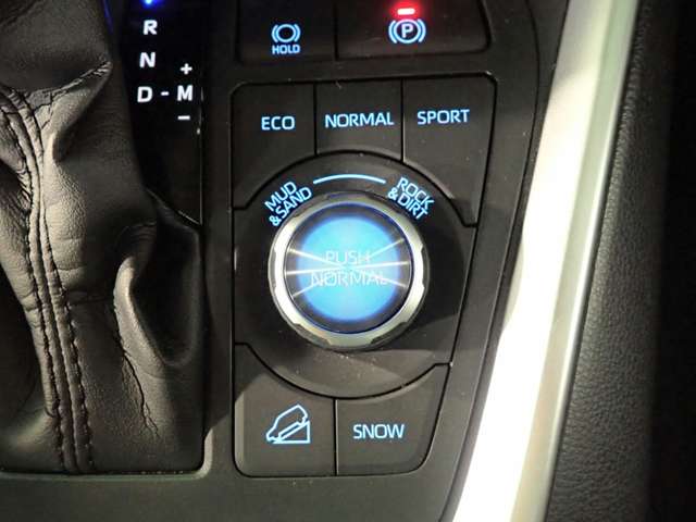 トヨタ ＲＡＶ４ ２．０ Ｇ Ｚパッケージ ４ＷＤ R3年 (近畿) 99
