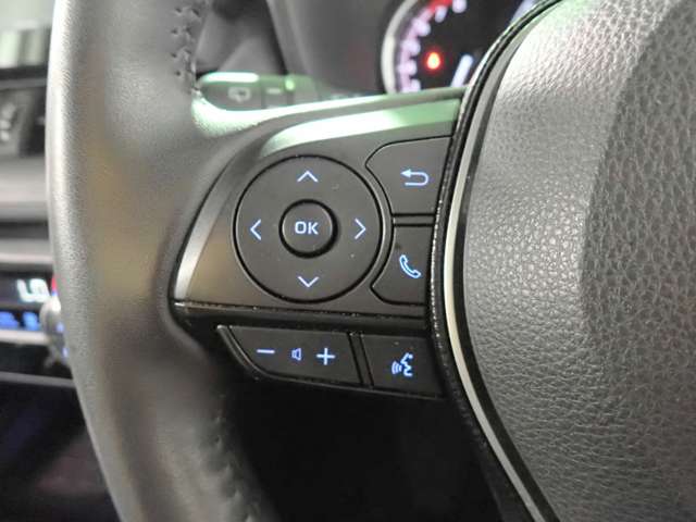 トヨタ ＲＡＶ４ ２．０ Ｇ Ｚパッケージ ４ＷＤ R3年 (近畿) 99