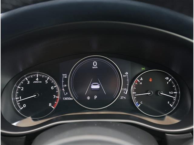 マツダ ＣＸ−３０ ２．０ ２０Ｓ プロアクティブ R3年 (東海) 99