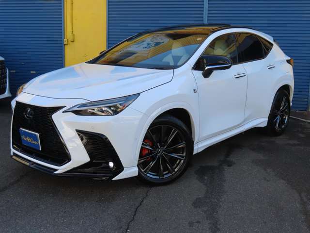レクサス ＮＸ３５０ｈ Ｆスポーツ R6年 (東海) 99