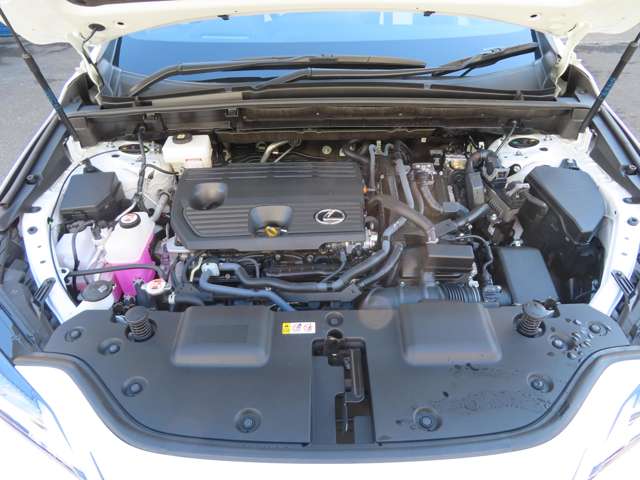 レクサス ＮＸ３５０ｈ Ｆスポーツ R6年 (東海) 99