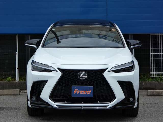 レクサス ＮＸ３５０ｈ Ｆスポーツ R5年 (東海) 99