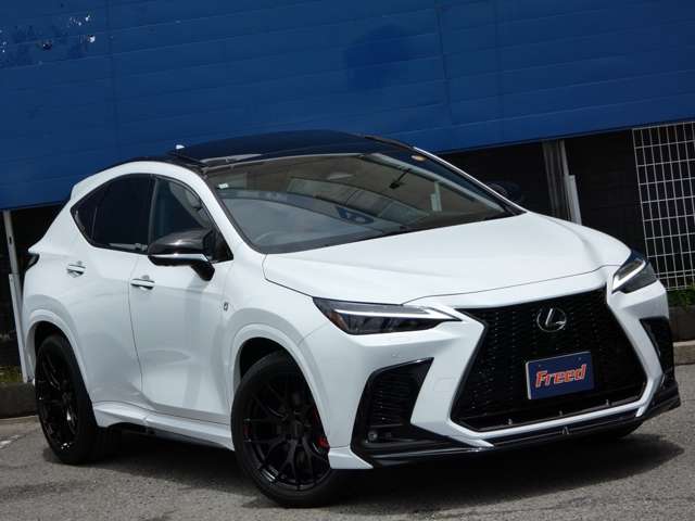 レクサス ＮＸ３５０ｈ Ｆスポーツ R5年 (東海) 99