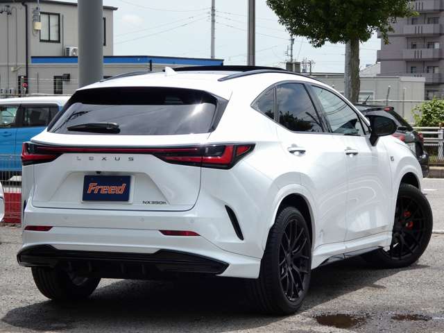 レクサス ＮＸ３５０ｈ Ｆスポーツ R5年 (東海) 99