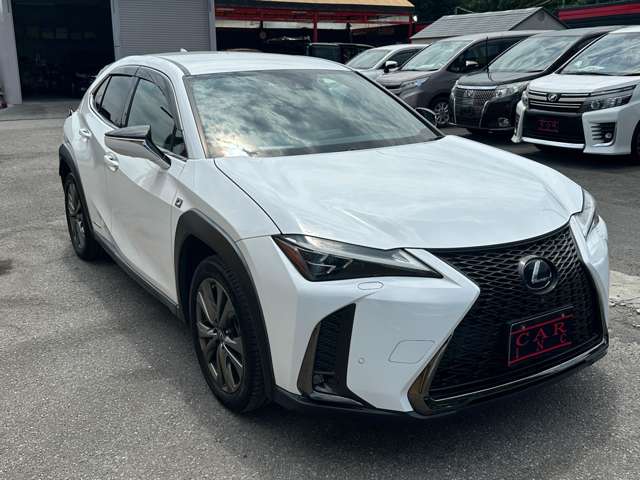 レクサス ＵＸ２５０ｈ Ｆスポーツ R1年 (関東) 99