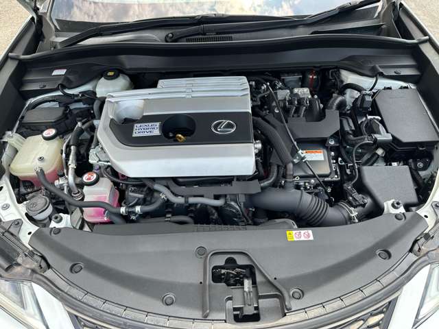 レクサス ＵＸ２５０ｈ Ｆスポーツ R1年 (関東) 99