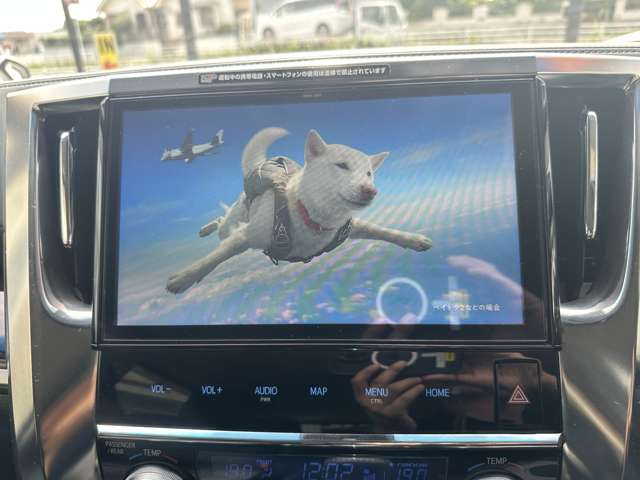 トヨタ アルファード ２．５ Ｓ H30年 (関東) 99