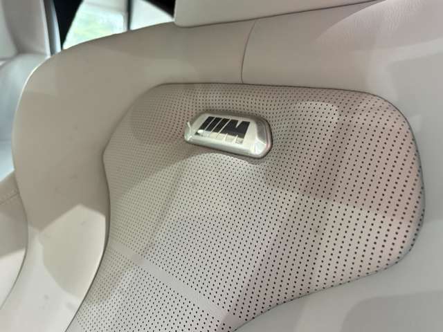 ＢＭＷ Ｍ４ Ｍ ＤＣＴ ドライブロジック H28年 (関東) 99