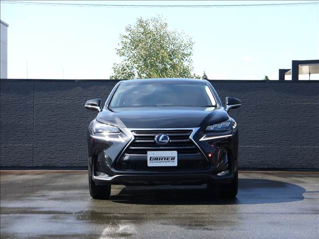 レクサス ＮＸ３００ｈ Ｉパッケージ H29年 (九州・沖縄) 99