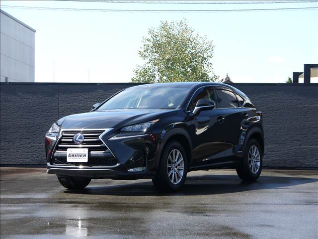 レクサス ＮＸ３００ｈ Ｉパッケージ H29年 (九州・沖縄) 99