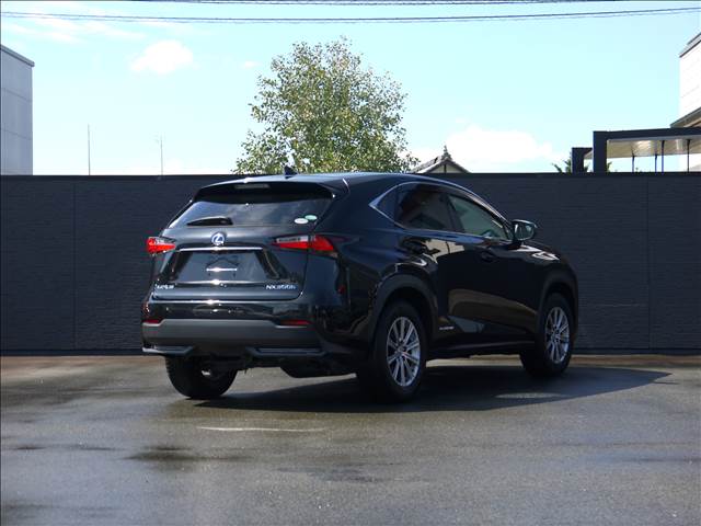 レクサス ＮＸ３００ｈ Ｉパッケージ H29年 (九州・沖縄) 99