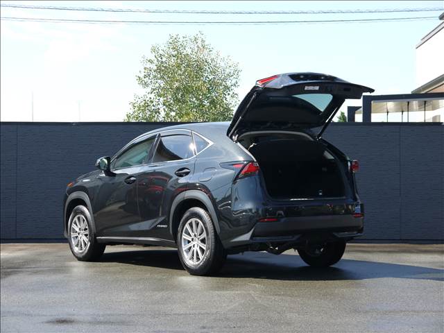 レクサス ＮＸ３００ｈ Ｉパッケージ H29年 (九州・沖縄) 99