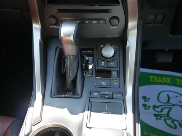 レクサス ＮＸ３００ｈ Ｉパッケージ H29年 (九州・沖縄) 99