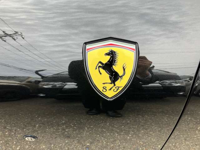 フェラーリ ローマ　スパイダー Ｆ１ ＤＣＴ R6年 (甲信越・北陸) 99