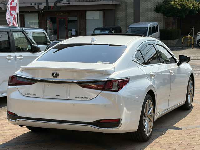 レクサス ＥＳ３００ｈ バージョンＬ R1年 (九州・沖縄) 99