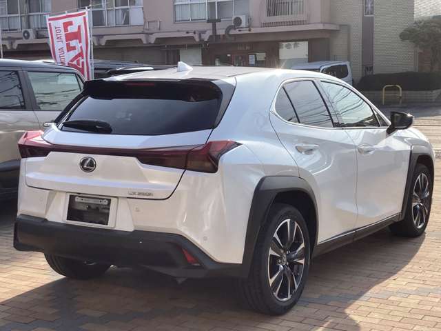 レクサス ＵＸ２５０ｈ バージョンＬ R5年 (九州・沖縄) 99