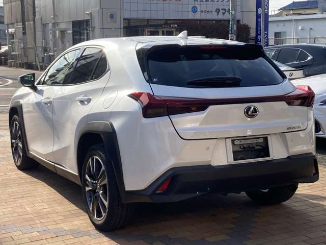 レクサス ＵＸ２５０ｈ バージョンＬ R5年 (九州・沖縄) 99