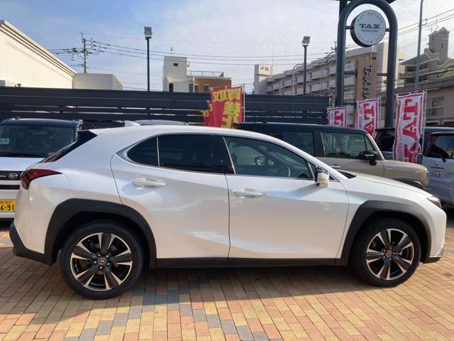 レクサス ＵＸ２５０ｈ バージョンＬ R5年 (九州・沖縄) 99
