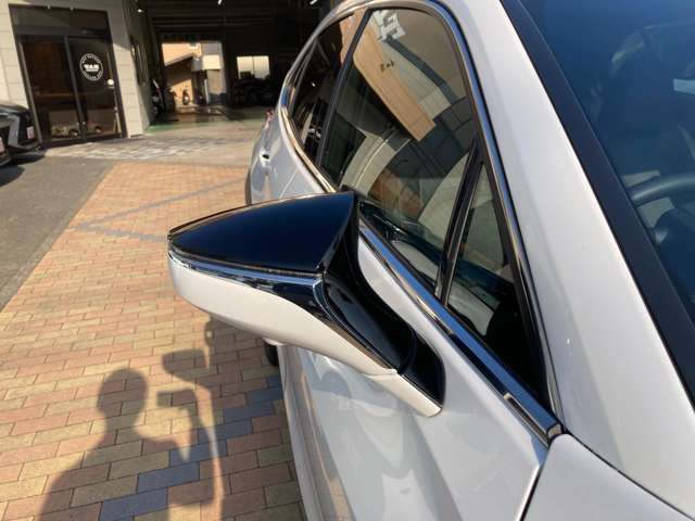 レクサス ＵＸ２５０ｈ バージョンＬ R5年 (九州・沖縄) 99
