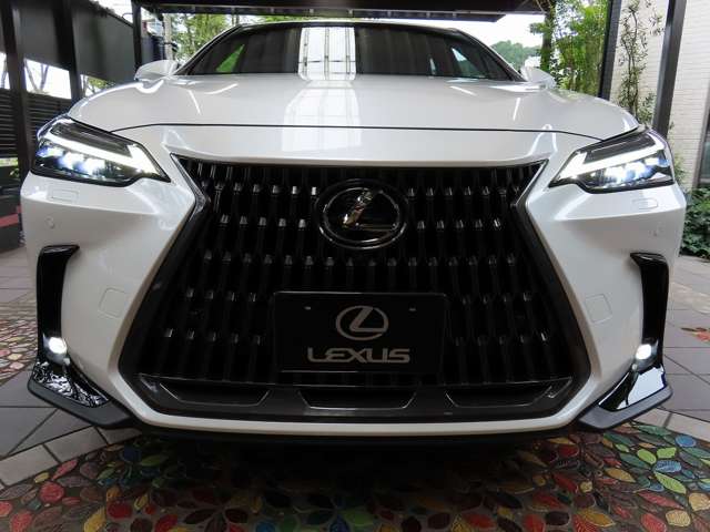 レクサス ＮＸ３５０ｈ ３５０Ｈ バージョンＬ ４ＷＤ R6年 (関東) 99