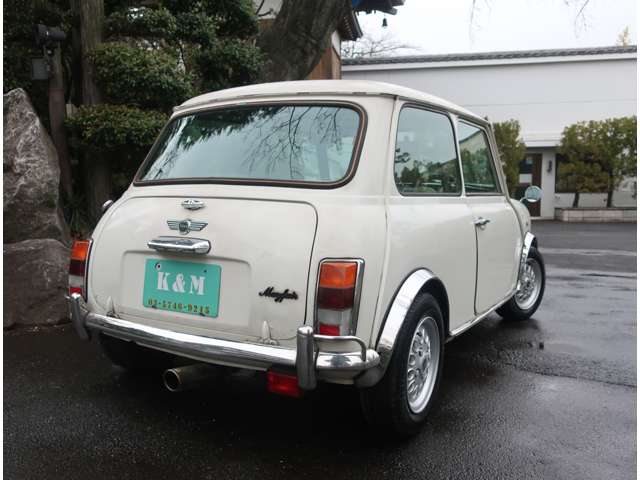 ローバー ミニ メイフェア H9年 (関東) 99