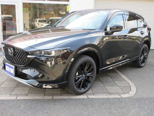 マツダ ＣＸ−５ ２．２ ＸＤ ドライブ エディション ディーゼルターボ ４ＷＤ R8年 (東北) 99