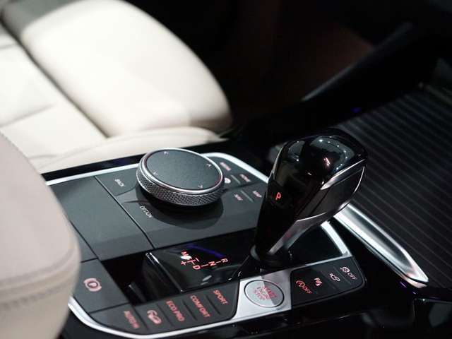ＢＭＷ Ｘ３ Ｘドライブ２０Ｄ Ｍスポーツ ディーゼルターボ ４ＷＤ R3年 (関東) 99
